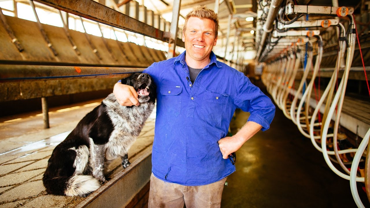 Katunga Dairy Farmer Paul Stammers YouTube