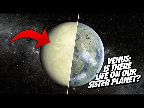 Venus: Is There Life On Our Sister Planet?