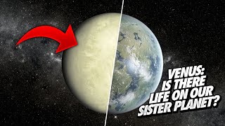 Venus: Is There Life On Our Sister Planet?