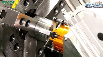 FFG TIMTOS 2019 - English