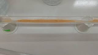 Kundt's tube experiment