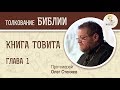 Книга Товита. Глава 1. Протоиерей Олег Стеняев. Библия. Ветхий Завет