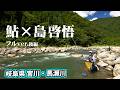 島啓悟が真夏の岐阜県であばれ鮎と称されるパワフルなアユを追う 2/2 『鮎2021』<フルver>【釣りビジョン】