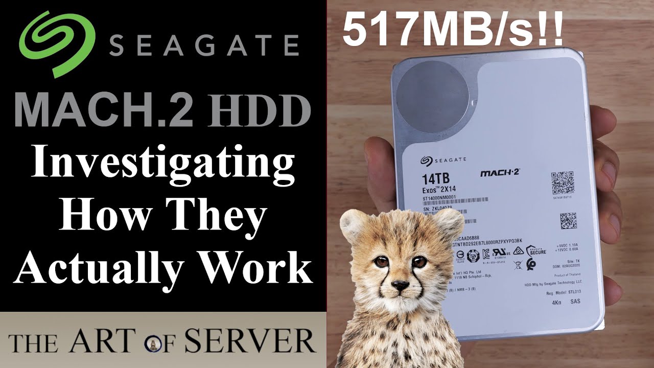 Seagate Mach.2 Dual Actuator HDDs | Investigating How They Actually ...
