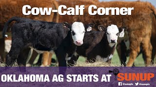 Cow-Calf Corner (5/11/19) Cow Calf Corner Body Condition Basics 10 5 19