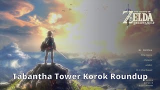 Tabantha Tower Korok Roundup - Zelda Breath of the Wild - 100% Walkthrough Playthrough Guide 132