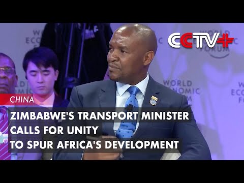 Zimbabwe's Transport Minister Calls for Unity to Spur Africa's Development - Zimbabwe's Transport Minister Calls for Unity to Spur Africa's Development