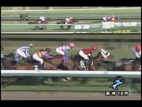[レースリプレイ] 081206 5阪神1 10R ゴールデンサドルトロフィー