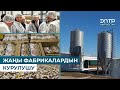 ЖАҢЫ ФАБРИКАЛАРДЫН КУРУЛУШУ