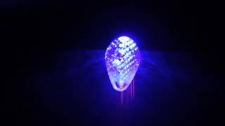 C7 Red to Blue Colorwave LED Lights screenshot 5