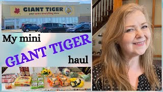 MINI GIANT TIGER HAUL | PLUS 2 NEW ITEMS FOR MY WARDROBE screenshot 4