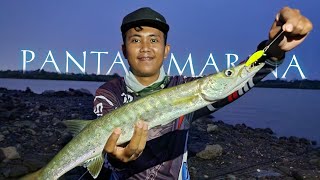 GOKIL ‼️ ULTRALIGHT FISHING DI PANTAI MARINA SEMARANG DAPAT IKAN BARAKUDA LAGI