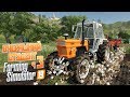 Farming Simulator 19 - Живу в тракторном прицепе.. Перестройка участка