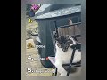 funniest cats #trending #funny #animals #cat #viral #shorts