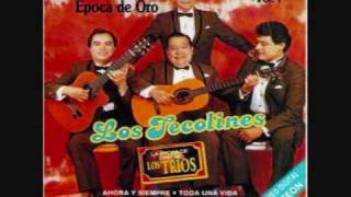 Video thumbnail of "Los Tecolines: Creí"