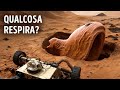 L'Ossigeno su Marte si Comporta Come se Qualcosa stesse Respirando