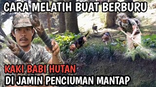 cara cepat melatih anjing  buat berburu  babi hutan  di jamin cepat pinter  @pasmorbeagles
