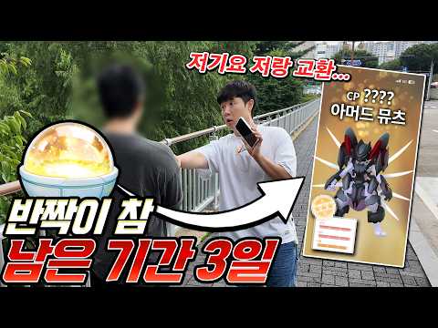 포켓몬고 금뚜껑, 반짝이 참 남은 기간 단 3일... 모르는 사람이라도 붙잡고 교환해야겠는데?
