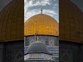 أبشر بخير فإن الفارج الله اناشيد إذاعة المشكاة تونس القدس فلسطين 
