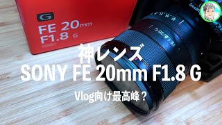 【SONY FE 20mm F1.8 G】万能な広角単焦点レンズ【神レンズ】