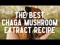 Best Chaga Mushroom Extract Recipe - How To Make Dual Extraction