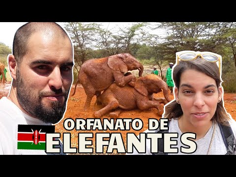 Video: Orfanato de elefantes Sheldrick, Nairobi: la guía completa