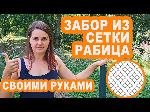 Как сделать забор на даче своими руками из сетки рабицы