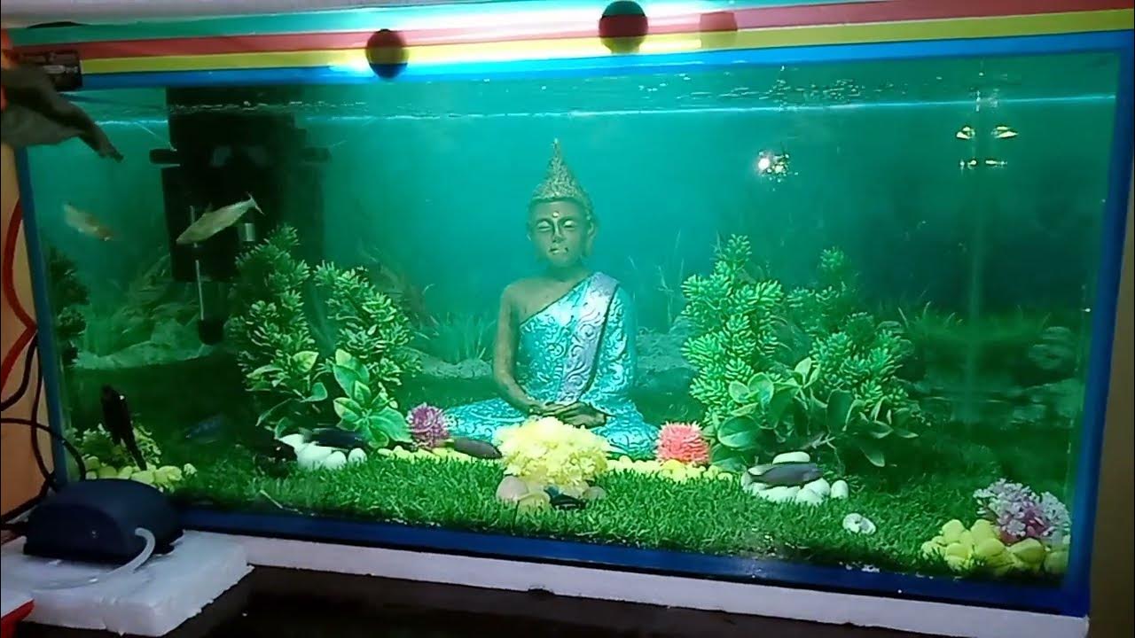 Fish Tank Decoration Ideas (with Artificial Grass) Fish Tank Setup 