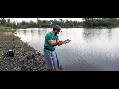 წვიმა და წერი (ქარიყლაპია)