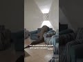 Ce crocodile est un peu trop à l'aise dans cet hôtel 😳