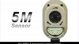 AVerVision F50 Visualizer Introduction Video flv