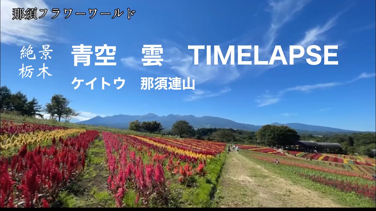 那須フラワーワールド 絶景タイムラプス 青空と雲の動き ケイトウ 那須連山 Youtube