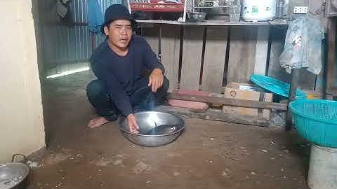 Cá Lóc Đồng, Cá Lóc Nuôi, Cách Phân Biệt Mà Bạn Có Thể Chưa Biết