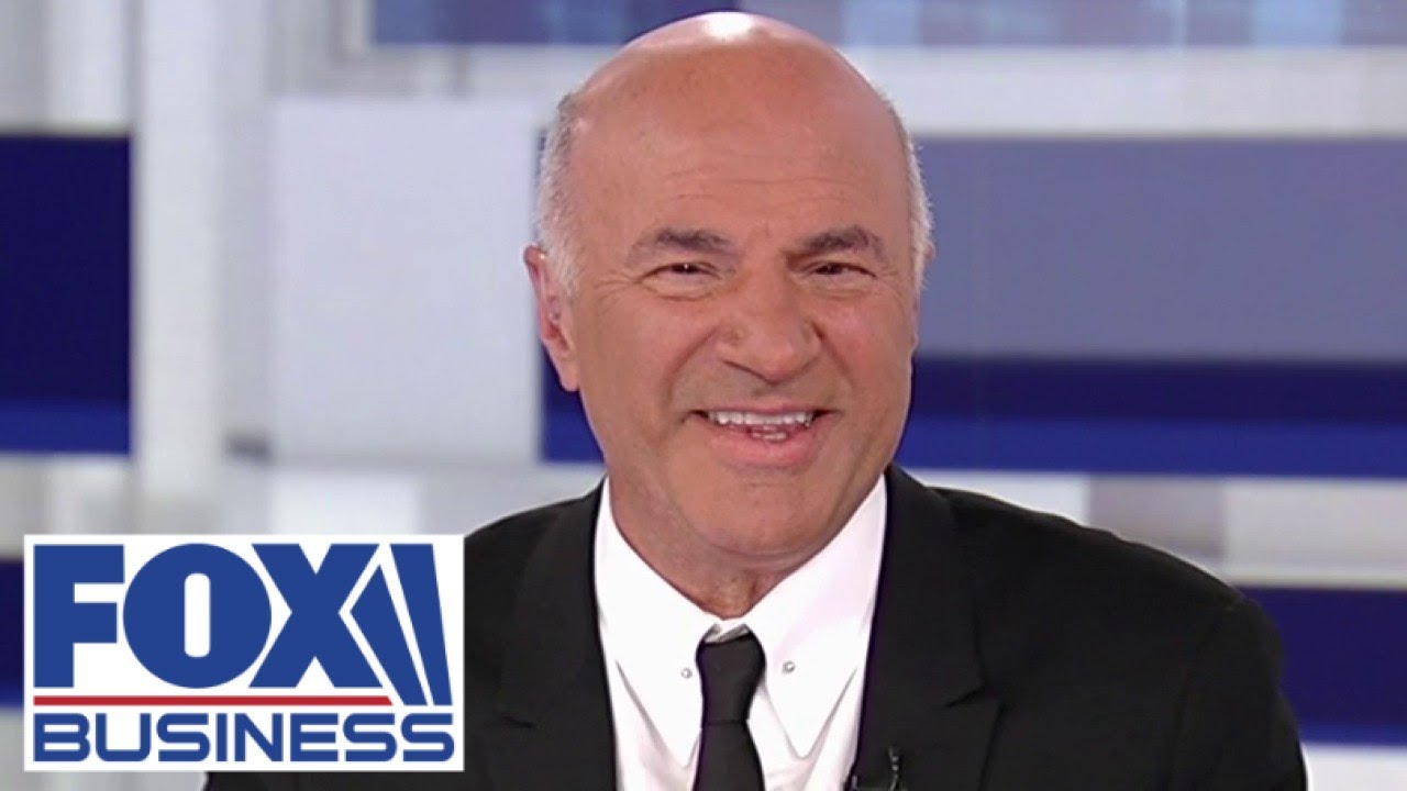 'Mr. Wonderful' Kevin O'Leary lays out proposal to buy TikTok