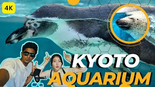 Kyoto Aquarium | 京都水族館 (This is a must see place) Amazing Japan 47 アイボ ルー 初の水族館 In Kyoto Aibo Lou Goes To The Kyoto Aquarium