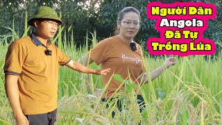 Người Dân Angola tự trồng lúa ra sao?|| 2Q vlogs Cuộc Sống Châu Phi