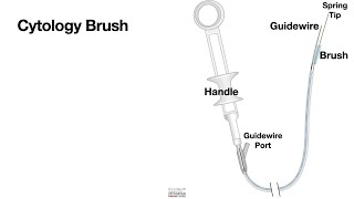 HCC 1474-15 Biliary brush