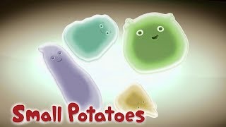 Small Potatoes - We're All Potatoes at Heart | Songs for Kids
