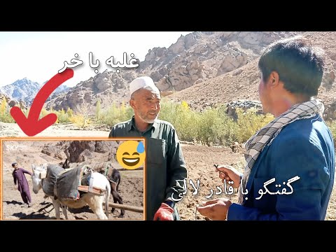 قادر کاکا با خر غلبه دارد صحبت بیشتر با کاکا قادر در مورد کشت گندم و روزگار گورو