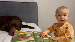 A day in a life of a Baby and his Beloved dog