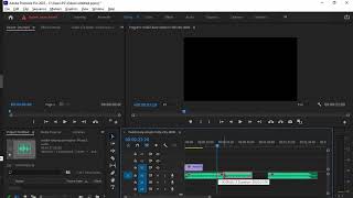 How to trim audio clip in premiere pro | Delete audio clip section or part screenshot 5
