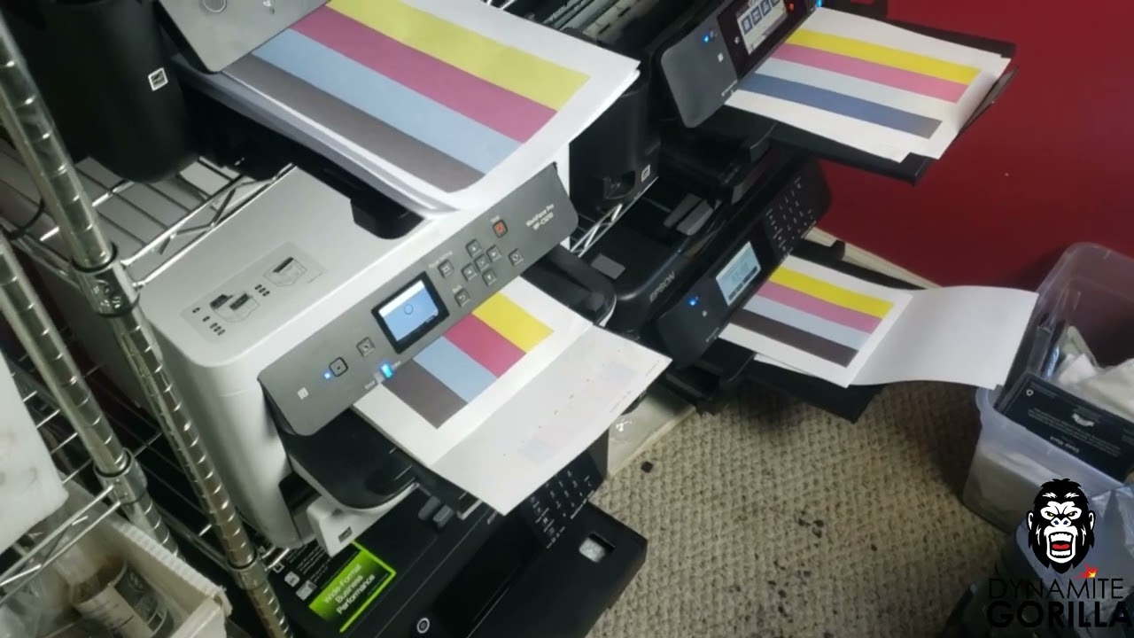 Sublimation printing maintenance after 6 months of no use.