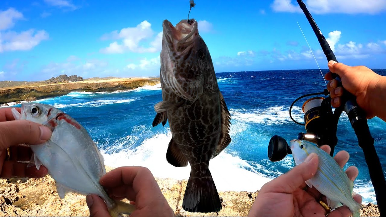 Aruba catch and cook Gag Grouper also booked a guided shore fishing