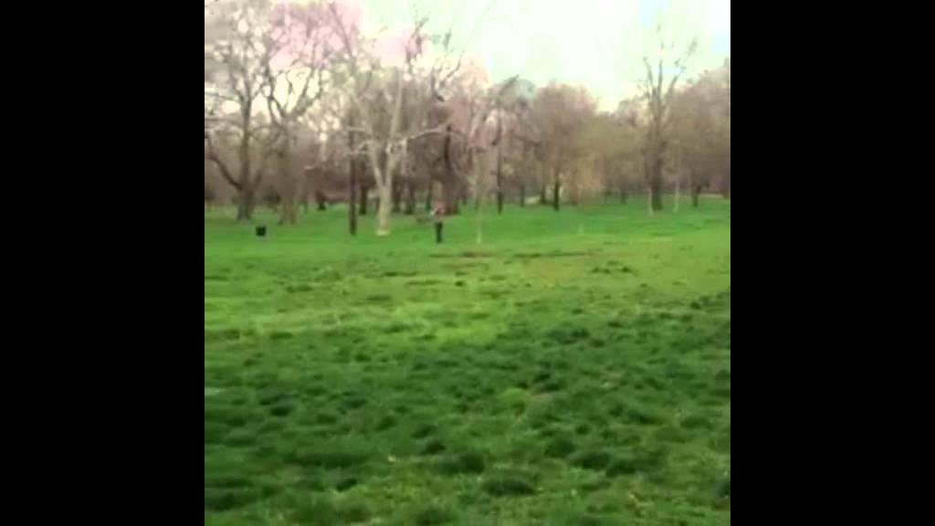 Walk In Straight Line Blindfolded Walk in Straight Line - YouTube