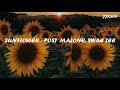 Sunflower - Post Malone, Swae Lee 1 HOUR (Lyrics)