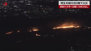 埼玉、利根川河川敷で火災 約60ヘクタール焼く、けが人なし