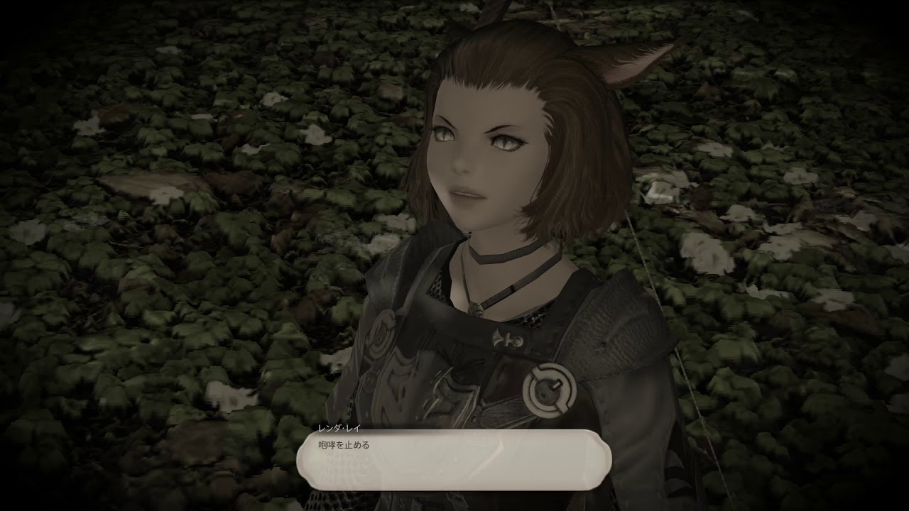 Ff14 漆黒の反逆者 ロールクエスト ファイター 04 勇気の狩人 Youtube