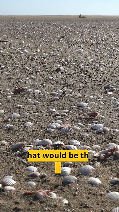 which-animal-has-the-longest-life-span-youtube