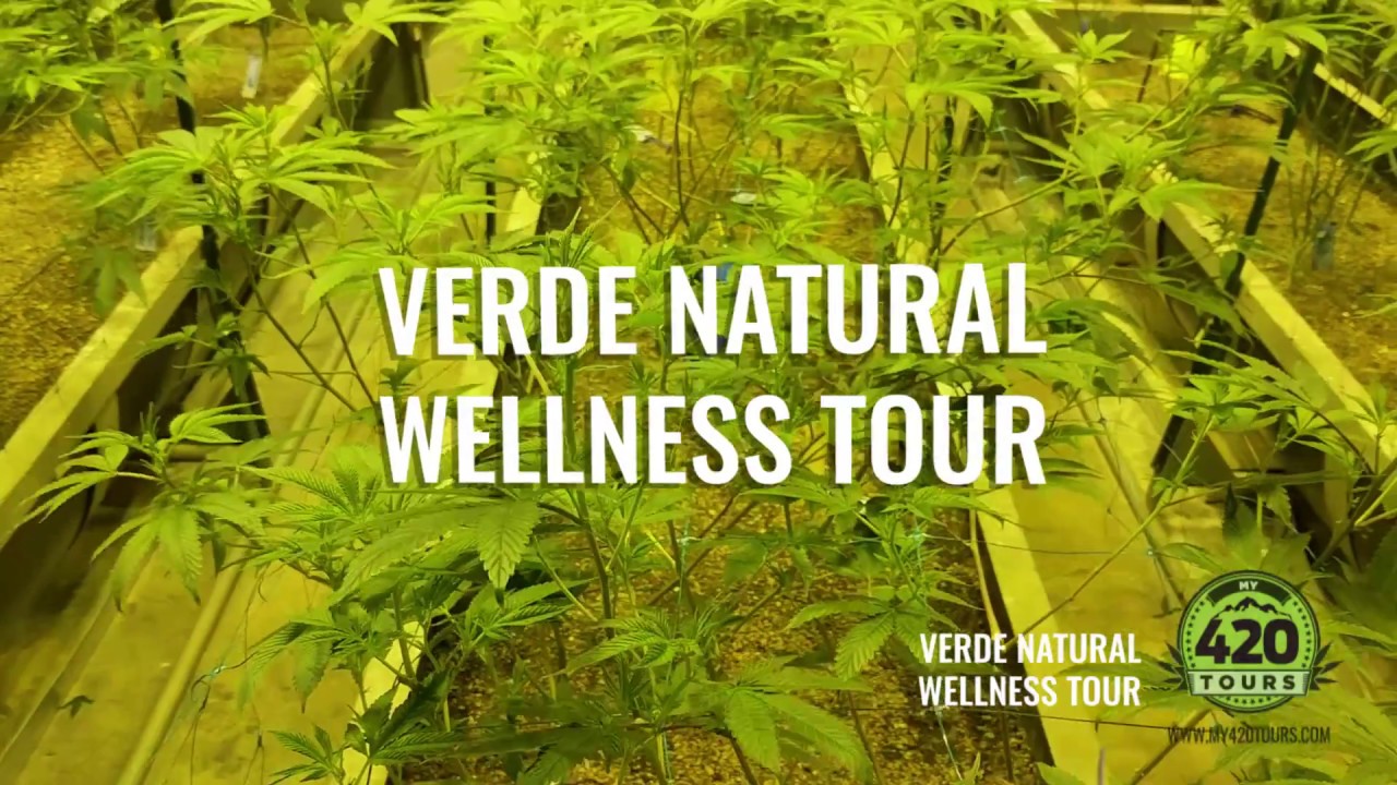Verde Natural Cannabis Wellness Tour | My 420 Tours
