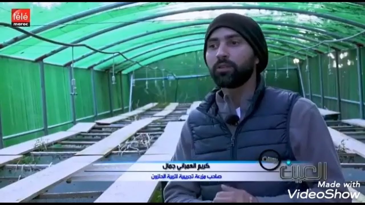 Elevage d'escargots au maroc (telemaroc) تربية الحلزون بالمغرب